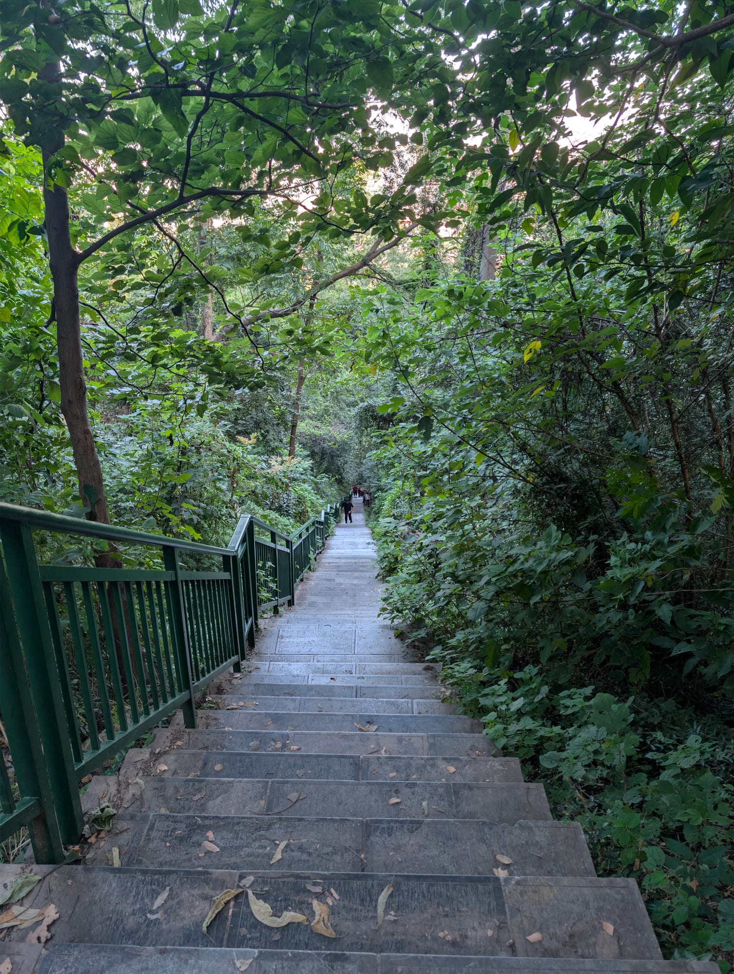 下山楼梯