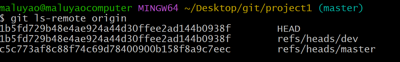 image-20241207182842353