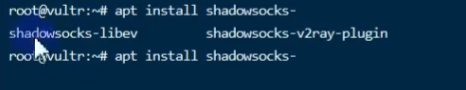 image-20250314135519058