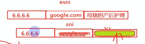 image-20250314143024248