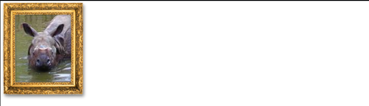 image-20250930142733748