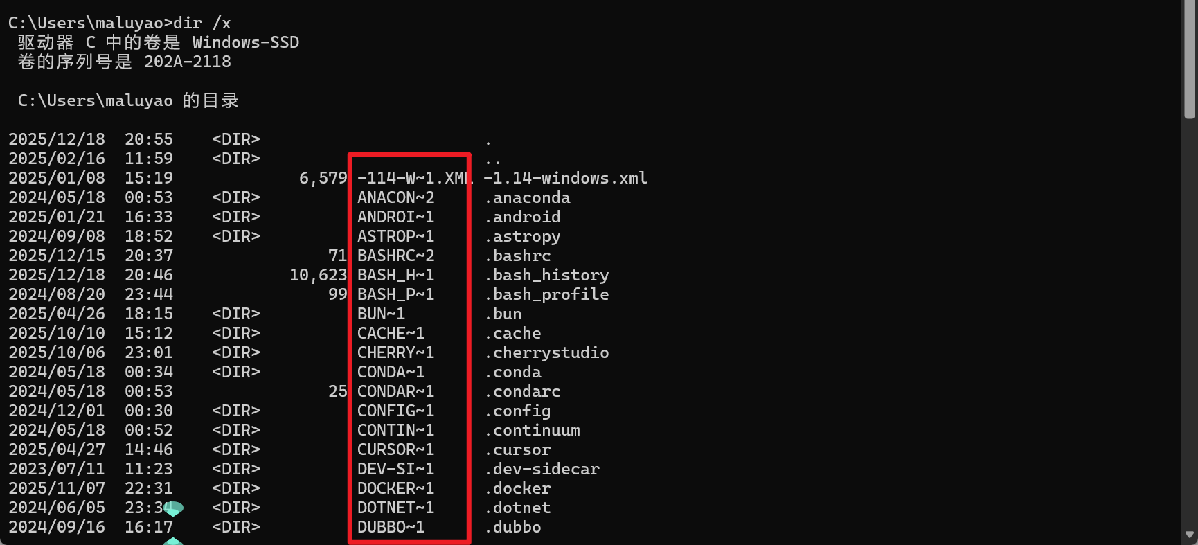 image-20251218212448523