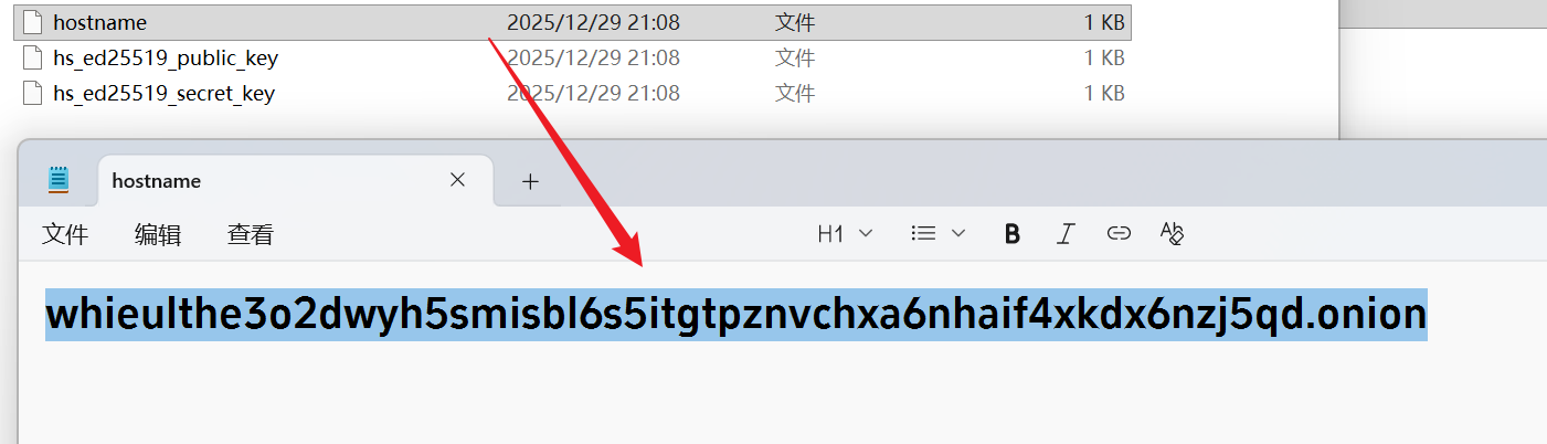 image-20251229210959906