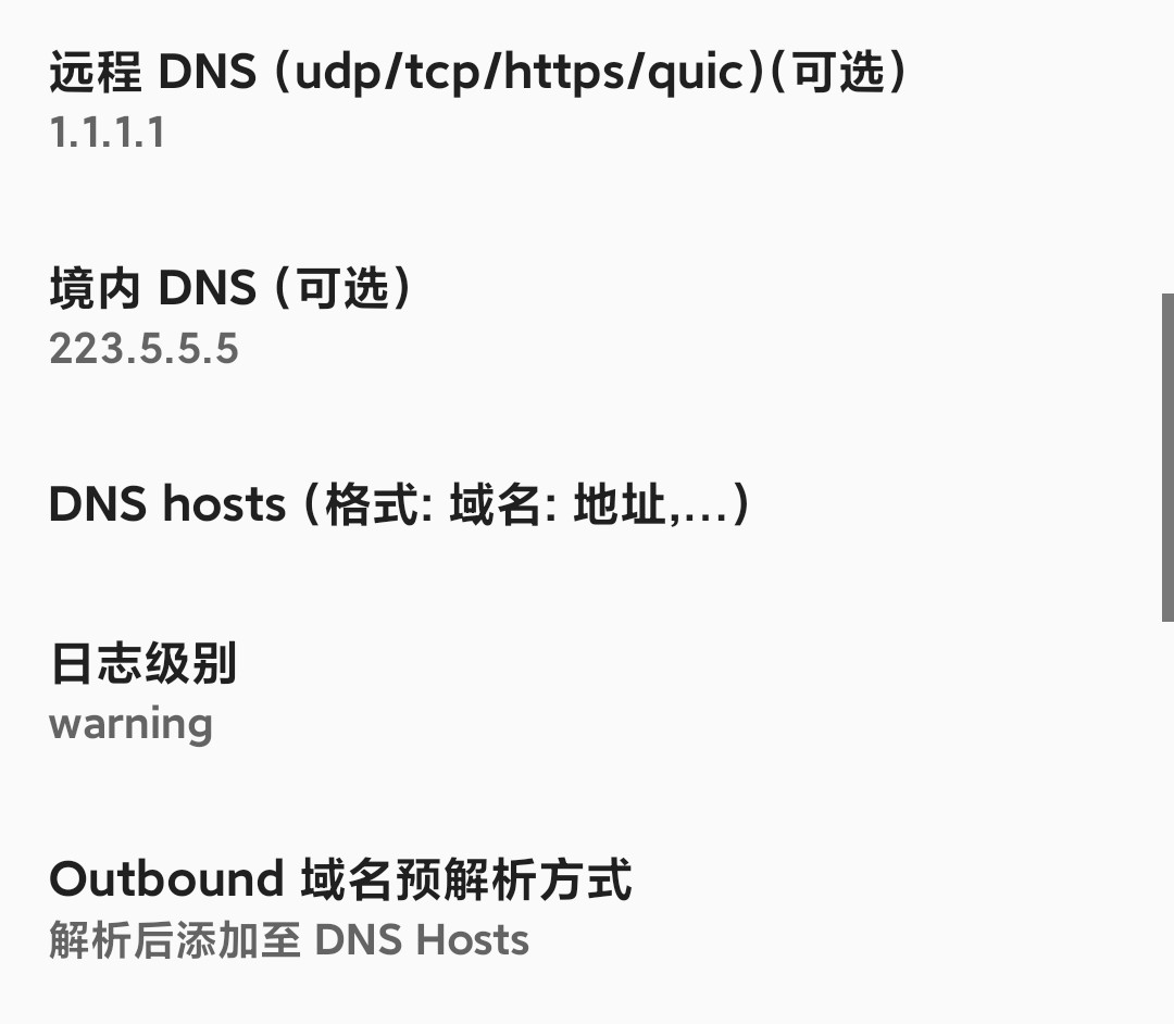 v2rayNG 设置截图